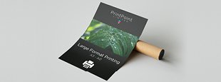 printpoint poster and cardboard tube
